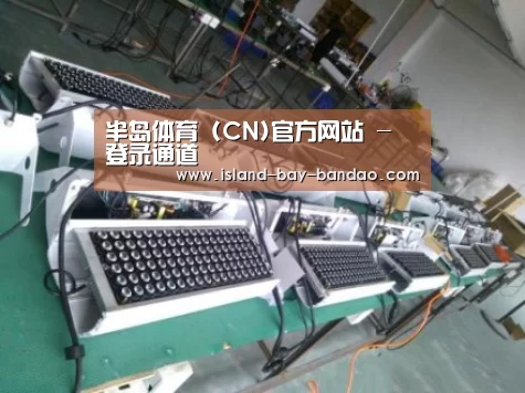 半岛体育官方登录案例展示一