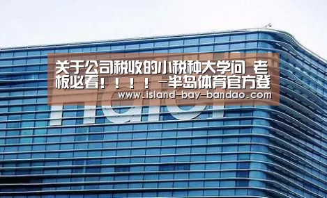 
关于公司税收的小税种大学问 老板必看！