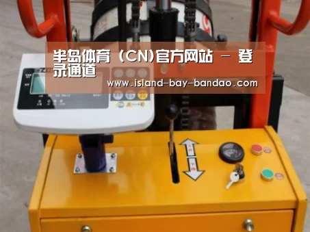 半岛体育官方登录案例展示三(图1)