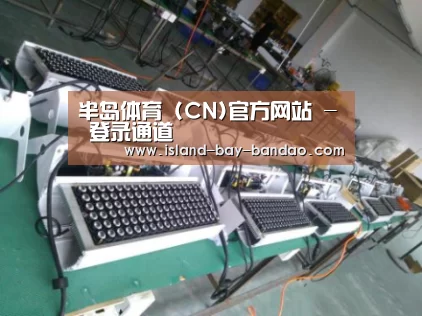 半岛体育官方登录案例展示一(图1)